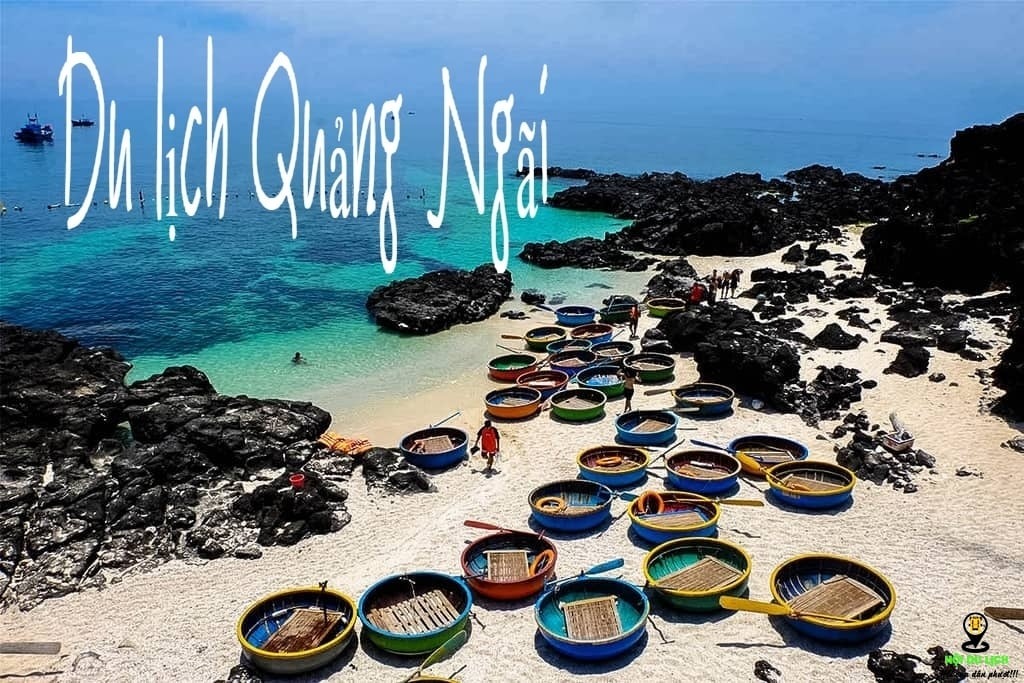 Thuê xe Quảng Ngãi - thuê xe Quảng Ngãi