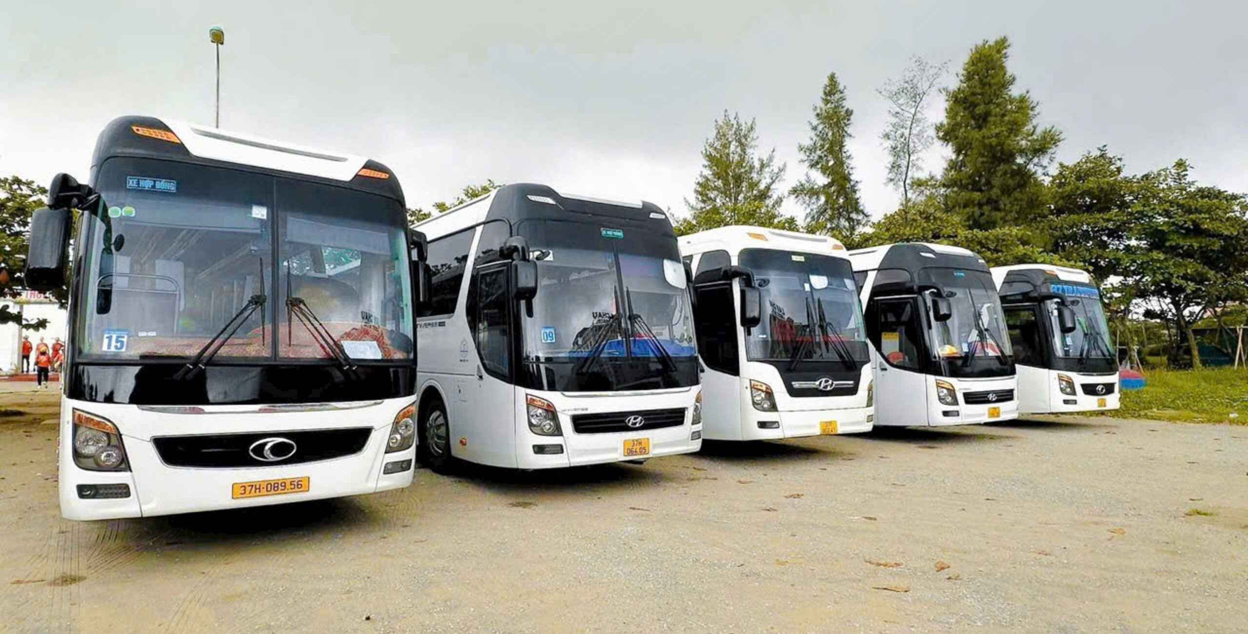 Thuê xe Nghệ An 35-45 chỗ có tài xế