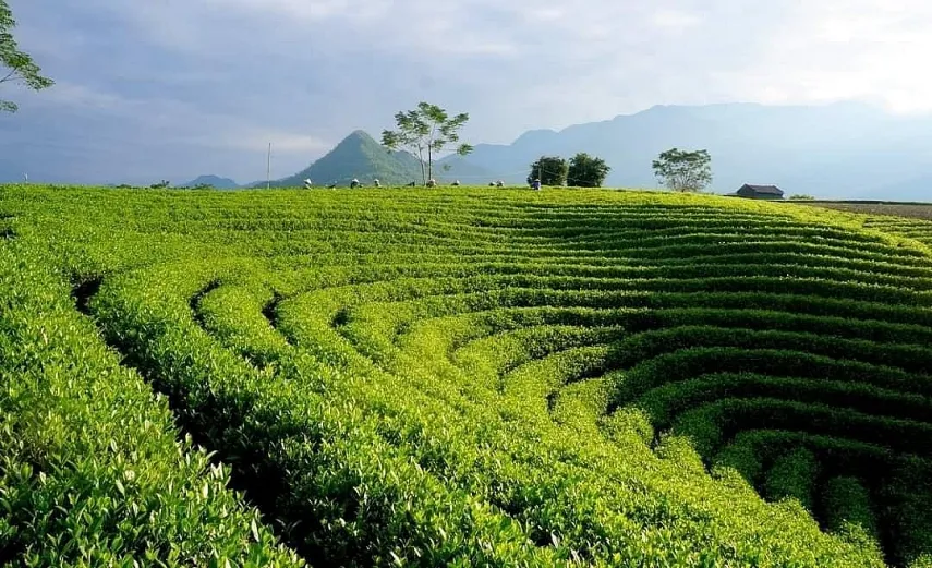 Thuê xe Thái Nguyên - du lịch Thái Nguyên